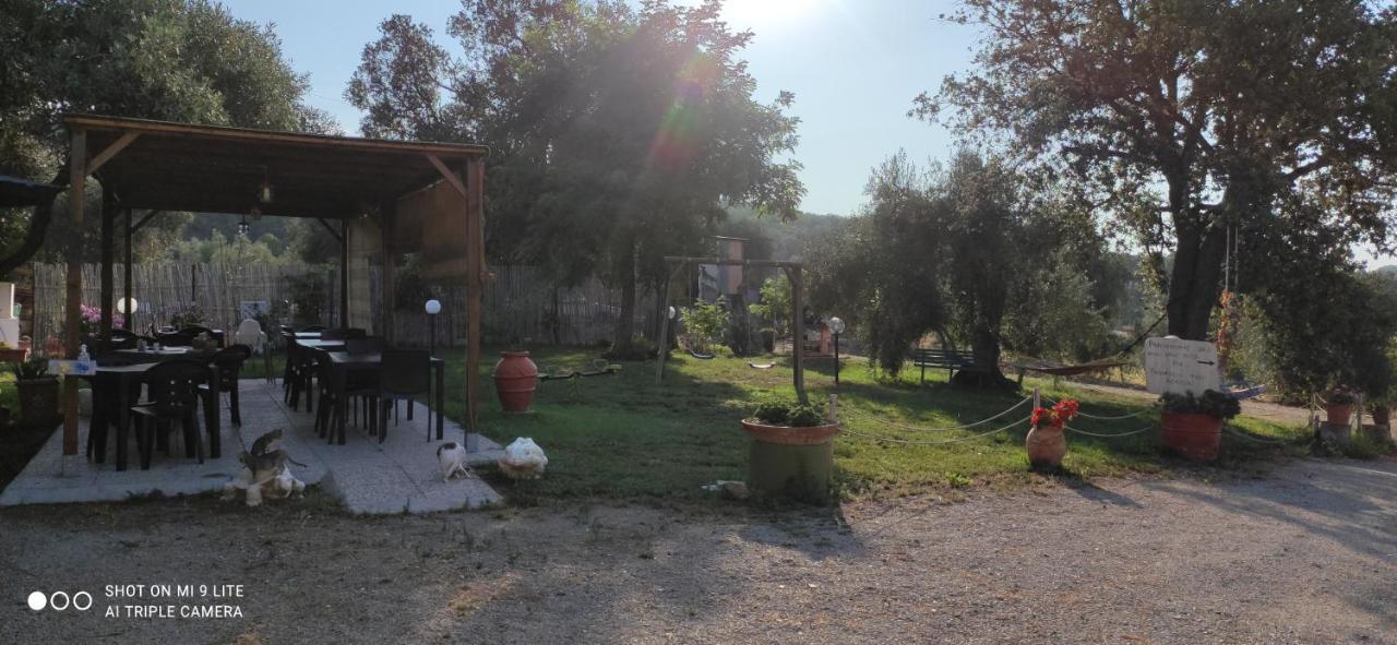 Agriturismo Poggio All'Olivo Follonica Ngoại thất bức ảnh