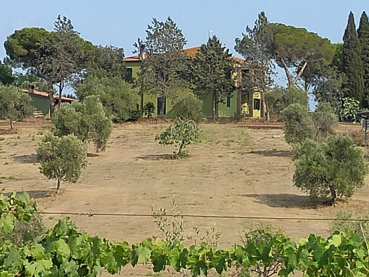 Agriturismo Poggio All'Olivo Follonica Ngoại thất bức ảnh