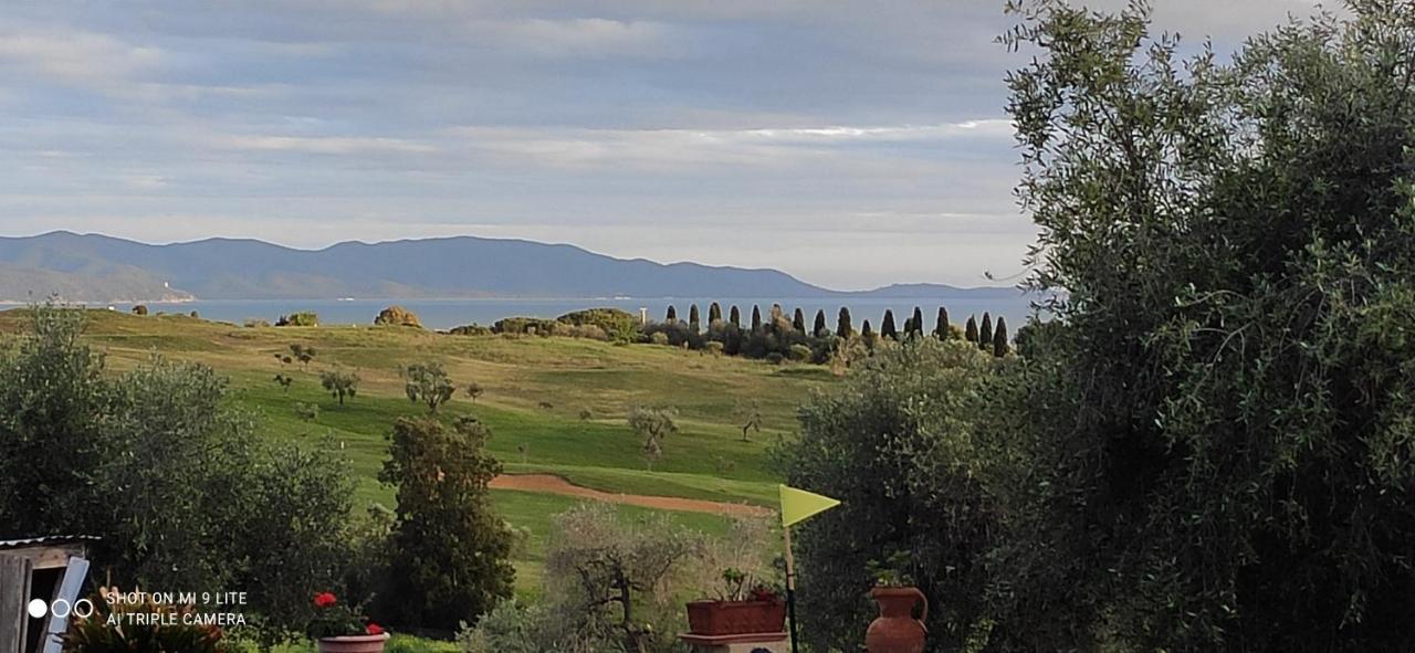 Agriturismo Poggio All'Olivo Follonica Ngoại thất bức ảnh
