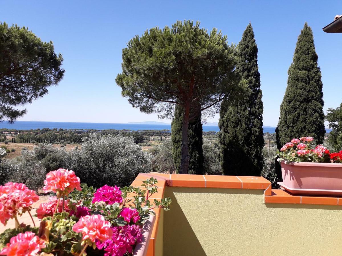 Agriturismo Poggio All'Olivo Follonica Ngoại thất bức ảnh