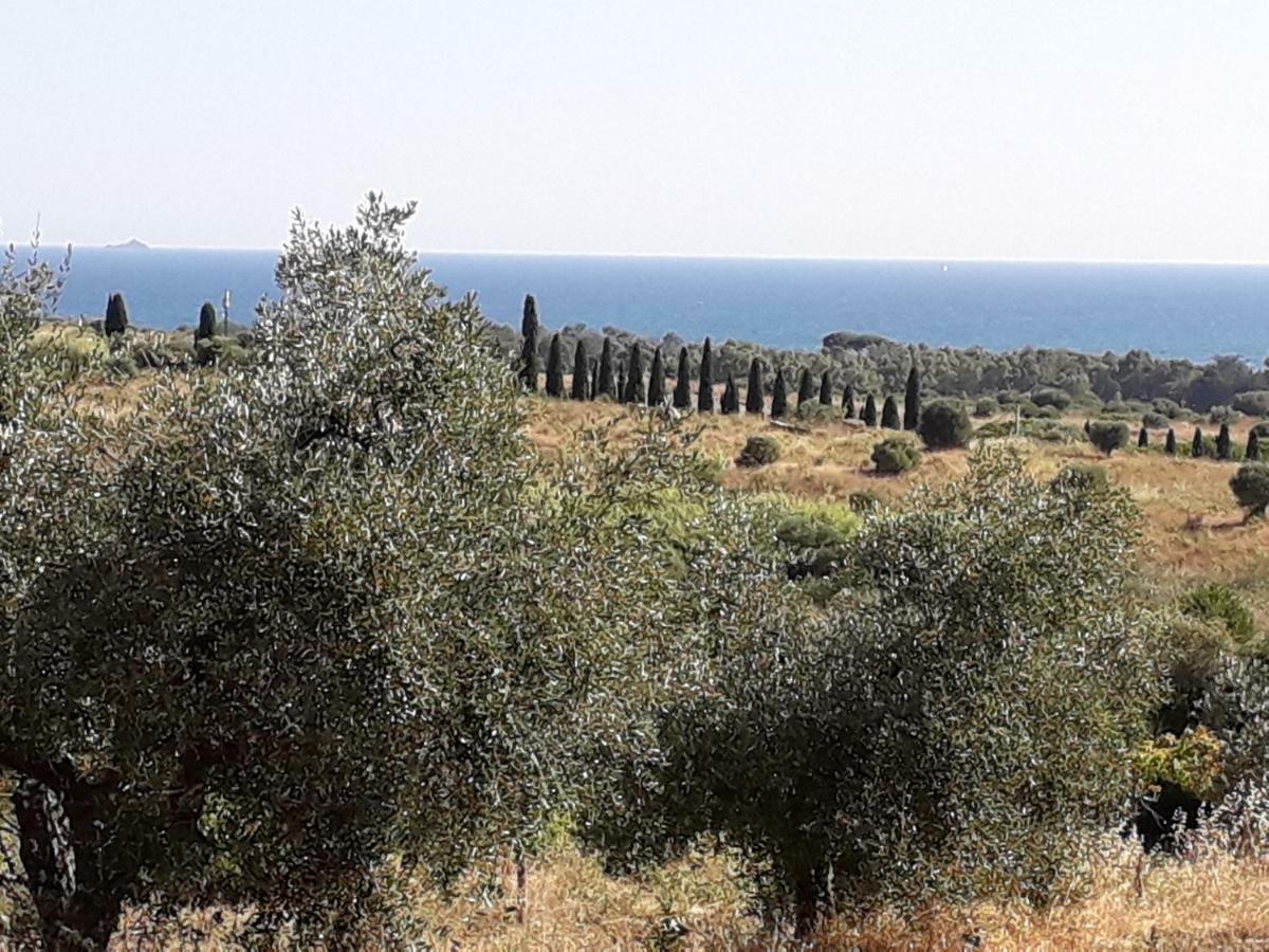Agriturismo Poggio All'Olivo Follonica Ngoại thất bức ảnh